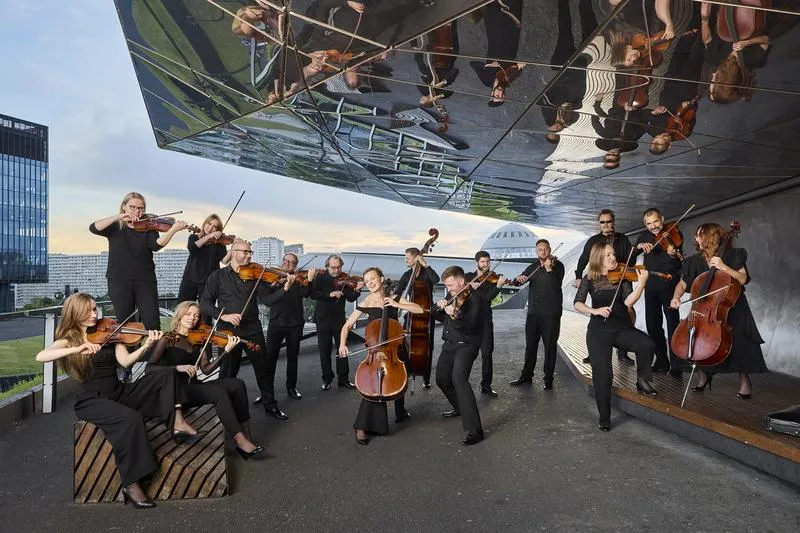 Instrumenty orkiestry smyczkowej