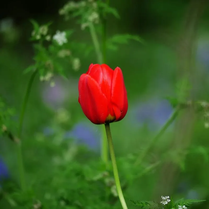 Kultowe utwory filmowe