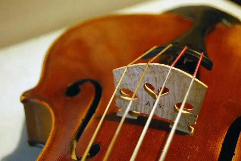 Techniki gry na skrzypcach